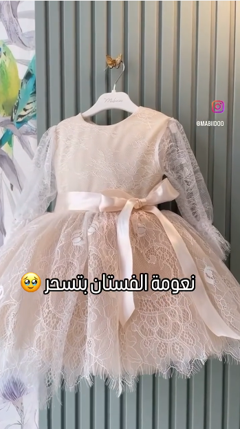 فستان دانتيل بحزام ساتان وفيونكة